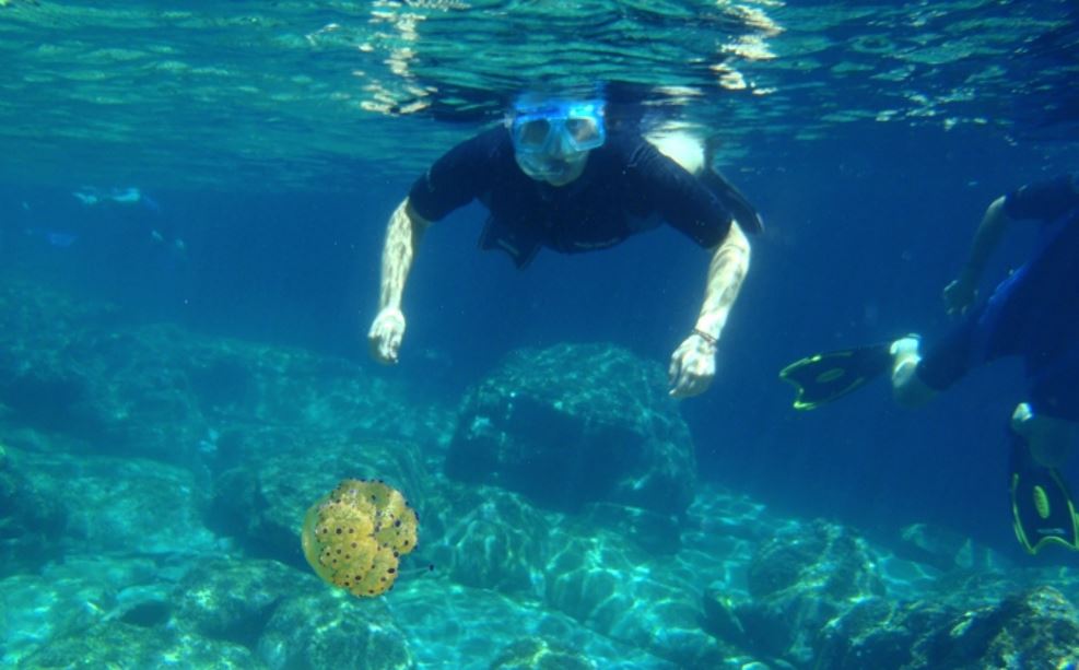 Discavering the marine life of Evia Island