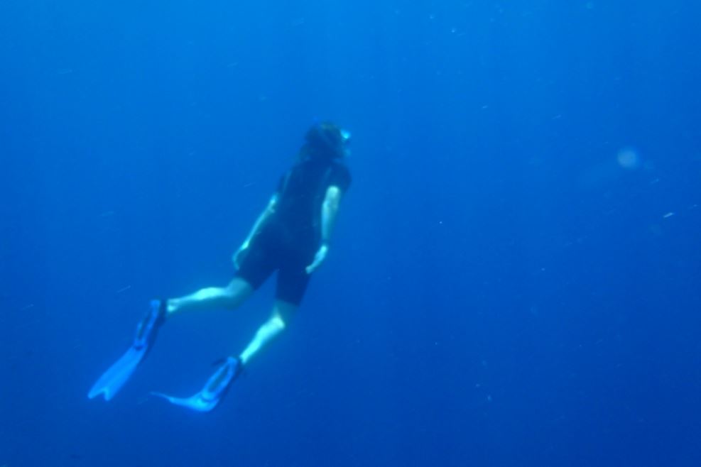 Fishing down the Deep of Evia Island waters